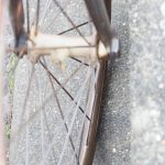 DSCF6439